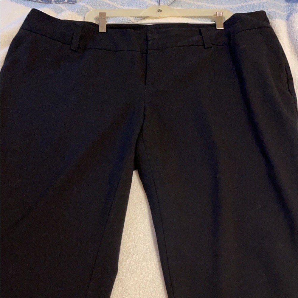 Dress capris